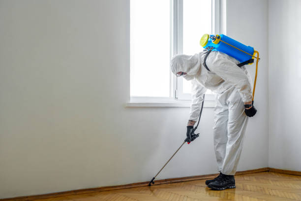 Best Best Pest Control Companies  in Fulton, TX