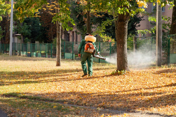 Best Affordable Pest Control Services  in Fulton, TX