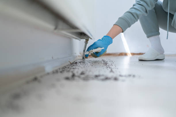 Reliable Fulton, TX Pest Control Solutions